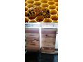 Улей для содержания пчел в городе Сочи, фото 1, Краснодарский край