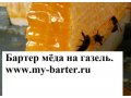 Бартер мёд на газель в городе Москва, фото 1, Московская область