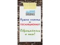 Государственные аукционы, помощь при участии в городе Хабаровск, фото 1, Хабаровский край