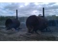 2 (две) Печи для производства древесного угля (круглые) в городе Саратов, фото 1, Саратовская область
