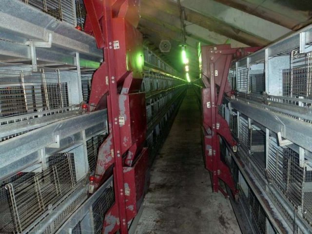 Продам птицефабрику на 63 Га, Адыгея, г. Майкоп в городе Майкоп, фото 4, Адыгея