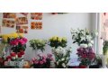 Продам готовый бизнес. Цветы в городе Красноярск, фото 1, Красноярский край