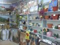 Продается цветочный отдел в городе Воронеж, фото 5, стоимость: 65 000 руб.