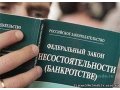 Банкротство юридических,физических лиц и ИП в городе Пермь, фото 2, стоимость: 0 руб.