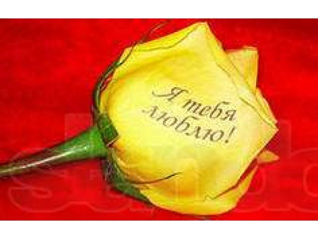 Наклейки на цветы (лист формата А4) в городе Барнаул, фото 3, стоимость: 0 руб.