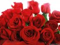 Розы Для Ваших Любимых и Милых Дам . С Доставкой!! в городе Хабаровск, фото 1, Хабаровский край