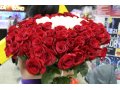 продаются розы в городе Хабаровск, фото 1, Хабаровский край
