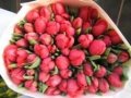 Тюльпаны к 8 Марта в городе Екатеринбург, фото 1, Свердловская область