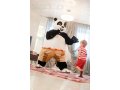 новая ростовая кукла кунг фу панда в городе Екатеринбург, фото 1, Свердловская область