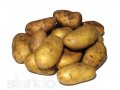 Продаю картофель от 100 килограмм. в городе Красноярск, фото 1, Красноярский край