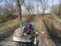 коляска зима-летоADAMEX отл.состояние продаю. в городе Невинномысск, фото 1, Ставропольский край