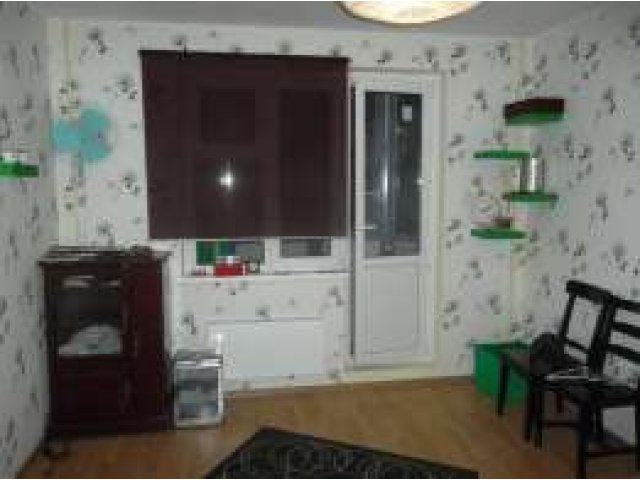 Комната в двухкомнатной квартире в городе Химки, фото 1, стоимость: 16 000 руб.