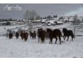 Сдаю дом для отдыха(для тех кто устал от знойного Мегаполиса) в городе Екатеринбург, фото 1, Свердловская область