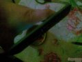Продам:  планшет Wexler TAB 7B в городе Йошкар-Ола, фото 1, Марий Эл