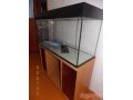 продам аквариум 220л в городе Уфа, фото 1, Башкортостан