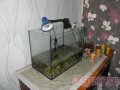 продам аквариум 70 литров с черепахами в городе Санкт-Петербург, фото 3, Аквариумистика