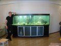 Изготовлю или отремонтирую любой аквариум в городе Челябинск, фото 1, Челябинская область