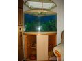 продаю аквариум в городе Набережные Челны, фото 1, Татарстан