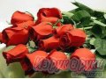 Розы в городе Казань, фото 1, Татарстан
