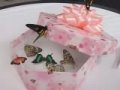 Продается 20 бабочек – розница в городе Владимир, фото 1, Владимирская область