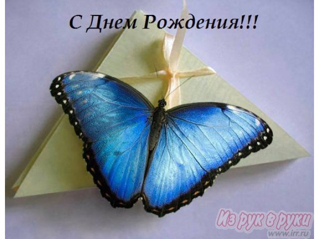 Необычные подарки - огромные бабочки в городе Магнитогорск, фото 2, стоимость: 1 500 руб.