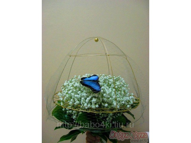 Тропическая бабочка в коробочке в городе Магнитогорск, фото 1, Тематические подарки