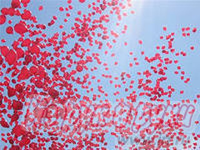 воздушные шары в городе Екатеринбург, фото 3, Свердловская область