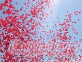 воздушные шары в городе Екатеринбург, фото 3, Букеты, декоративные цветы и вкусные подарки