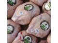 Цыплята-корнишоны 550+ гр в городе Москва, фото 1, Московская область