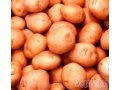 Продаю семена картофеля в городе Барнаул, фото 1, Алтайский край