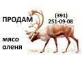 мясо оленя в Красноярске в городе Красноярск, фото 1, Красноярский край