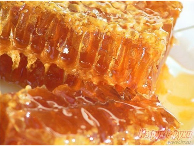 мёд в городе Орёл, фото 1, стоимость: 300 руб.
