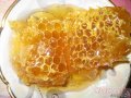 Мёд цветочный со своей пасеки в городе Москва, фото 6, Продовольствие