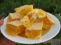 Мёд от пчеловода в городе Тюмень, фото 1, Тюменская область