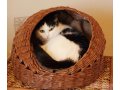 Домик для кота плетеный в городе Краснодар, фото 2, стоимость: 600 руб.