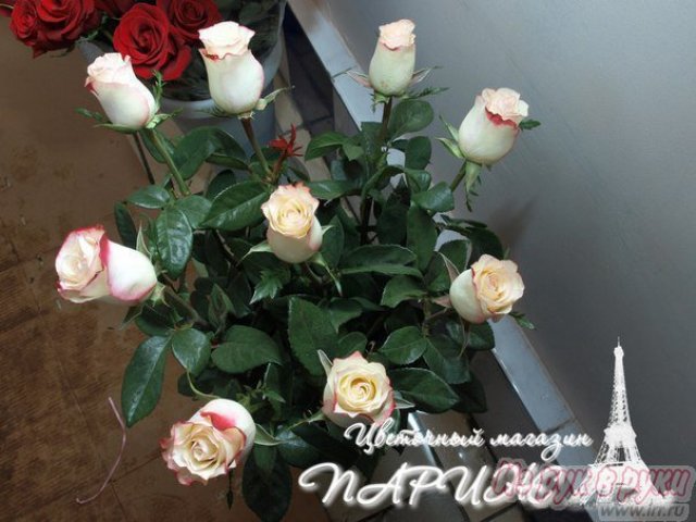 ШОК! Голландские розы по 70 РУБЛЕЙ! в городе Курган, фото 3, Другое