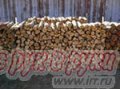 продаю дрова в городе Нижний Новгород, фото 1, Нижегородская область