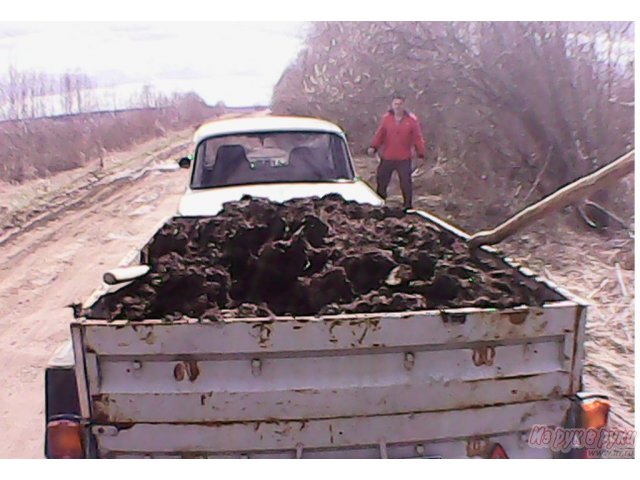 Навоз, черная земля, дрова в городе Ижевск, фото 1, стоимость: 1 500 руб.
