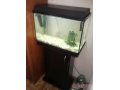 Продам аквариум Juwel на 80 л в городе Саратов, фото 1, Саратовская область