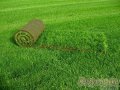 Рулонный газон.  Укладка рулонного газона. в городе Уфа, фото 2, стоимость: 120 руб.