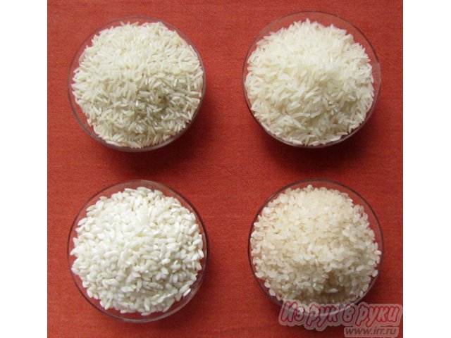 Круглый рис это какой. Сорта риса. Разные сорта риса. Китайский рис виды. Рис круглый название.