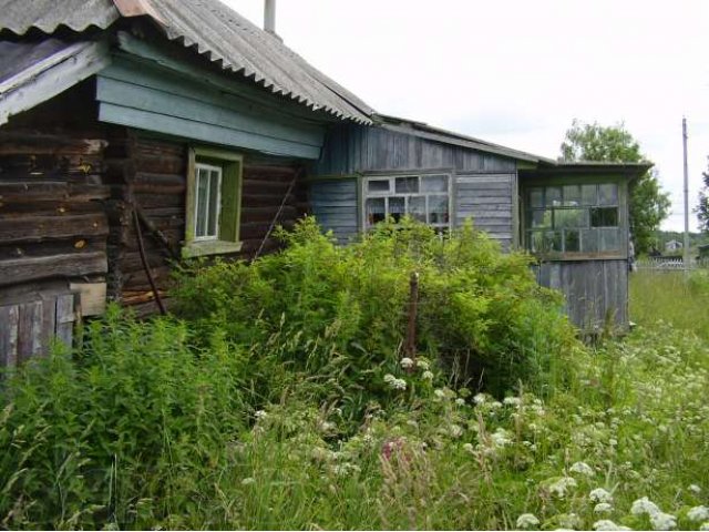 Сдам дачу на лето или более!!! в городе Калязин, фото 3, стоимость: 15 000 руб.