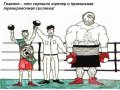 Тренировки по боксу в городе Санкт-Петербург, фото 1, Ленинградская область