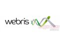 Webris  - сдача отчетности через интернет (очень дёшево) и бухгалтерское обслуживание онлайн в городе Курск, фото 1, Курская область