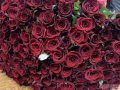 Букет 101 роза 90 см доставка бесплатно в городе Москва, фото 1, Московская область