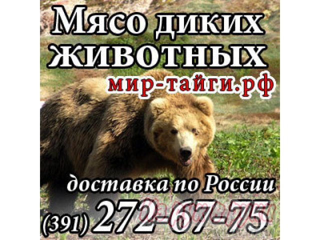 Продам мясо лося,  прoдам дичь птицы в Красноярске в городе Красноярск, фото 1, стоимость: 1 000 руб.