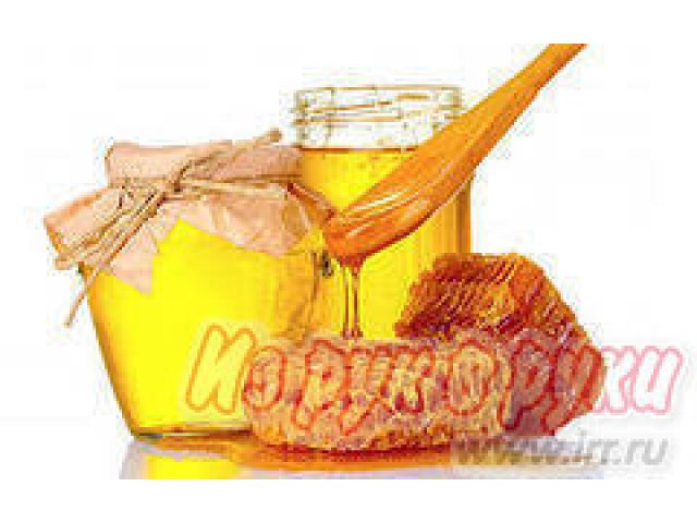 мёд с личной пасеки,  мед в городе Псков, фото 1, стоимость: 0 руб.