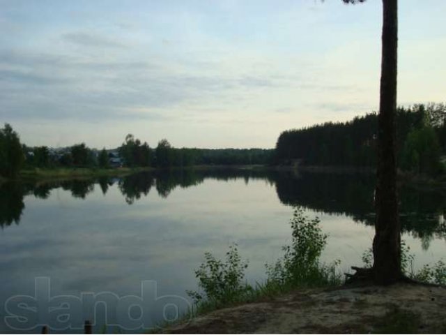 Дача на лето у пруда с лесом. 120км- Шатурский р-н, Рошаль в городе Рошаль, фото 4, стоимость: 8 000 руб.