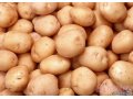 Сортовая картошка-Никулинский.  (для посадки) в городе Чебоксары, фото 1, Чувашия