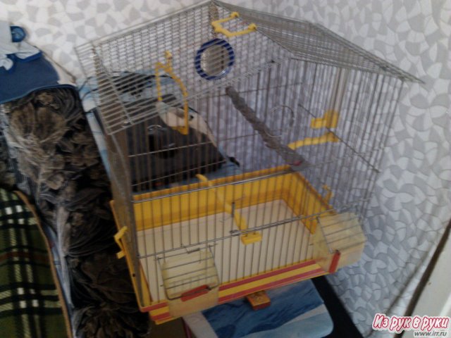 Клетка для попугая. в городе Нижний Новгород, фото 2, Нижегородская область